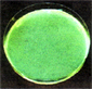 メチシリン耐性黄色ブドウ玉菌(MRSA)の培養試験2